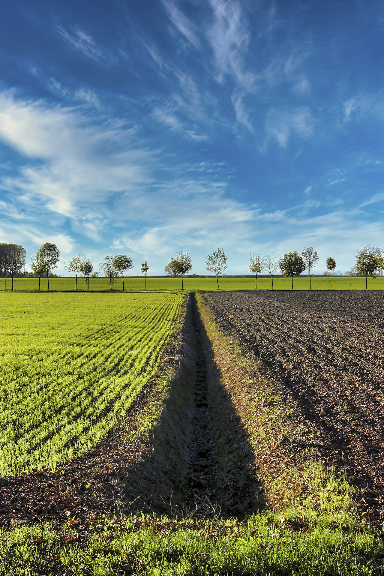 campagna Cento (FE)